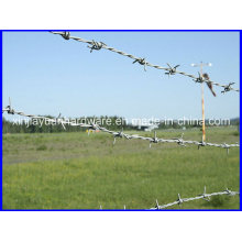 High Quality Best Price Galvanized Barbed Wire